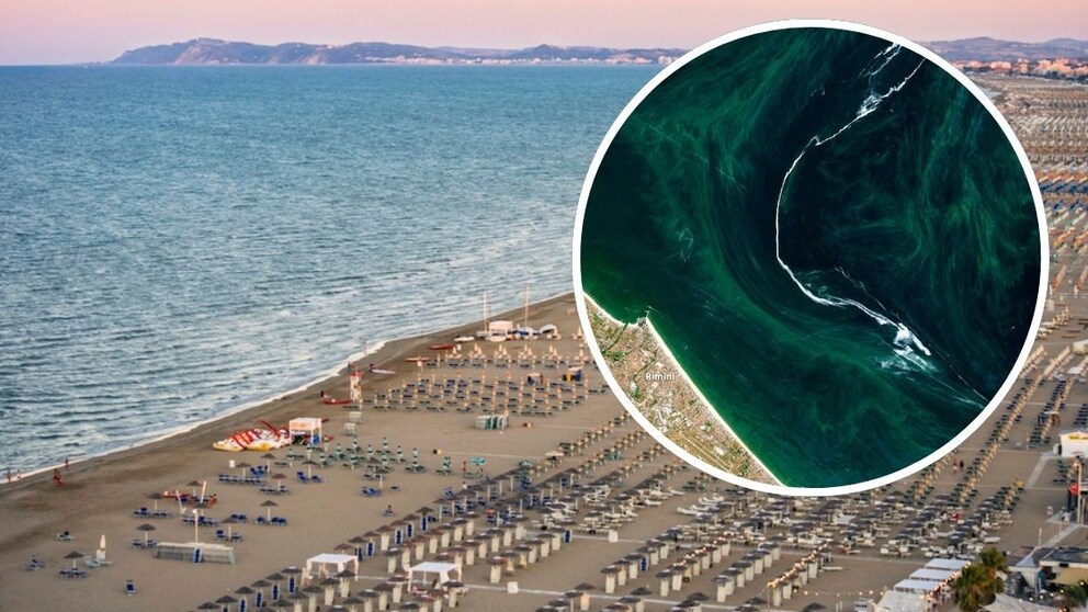Eine riesige Schleimwelle in der Adria, die sogar vom Weltall aus zu erkennen ist, verdirbt gerade Urlaubern vor allem in Rimini den Badespaß