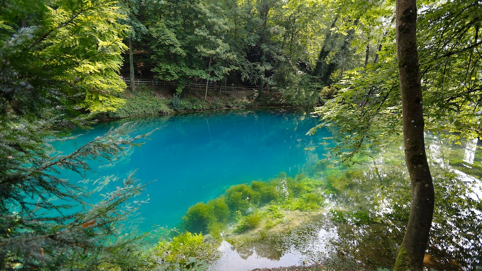 Der Blautopf, eine der Hauptattraktionen von Blaubeuren, wird der Öffentlichkeit nun für einige Jahre nicht zugänglich sein