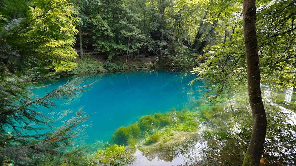 Der Blautopf, eine der Hauptattraktionen von Blaubeuren, wird der Öffentlichkeit nun für einige Jahre nicht zugänglich sein