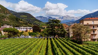 Hier trifft alpine auf mediterrane Lebensart.