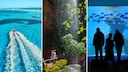Auf Mallorca findet man an diversen Orten Abkühlung von der Sommerhitze