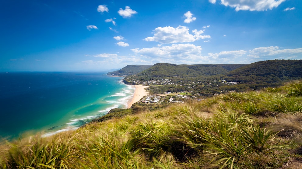 Endlich liegt der Drehort des Dschungelcamps wieder da, wo er hingehört: in Australien. Und zwar genauer ganz im Norden des Bundesstaats New South Wales, fast an der Grenze zu Queensland.