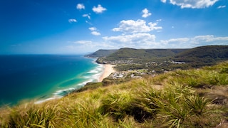 Endlich liegt der Drehort des Dschungelcamps wieder da, wo er hingehört: in Australien. Und zwar genauer ganz im Norden des Bundesstaats New South Wales, fast an der Grenze zu Queensland.