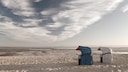 Auch im Winter kann auf Föhr bei ausgedehnten Wanderungen die Fauna des Wattenmeers erforscht werden.