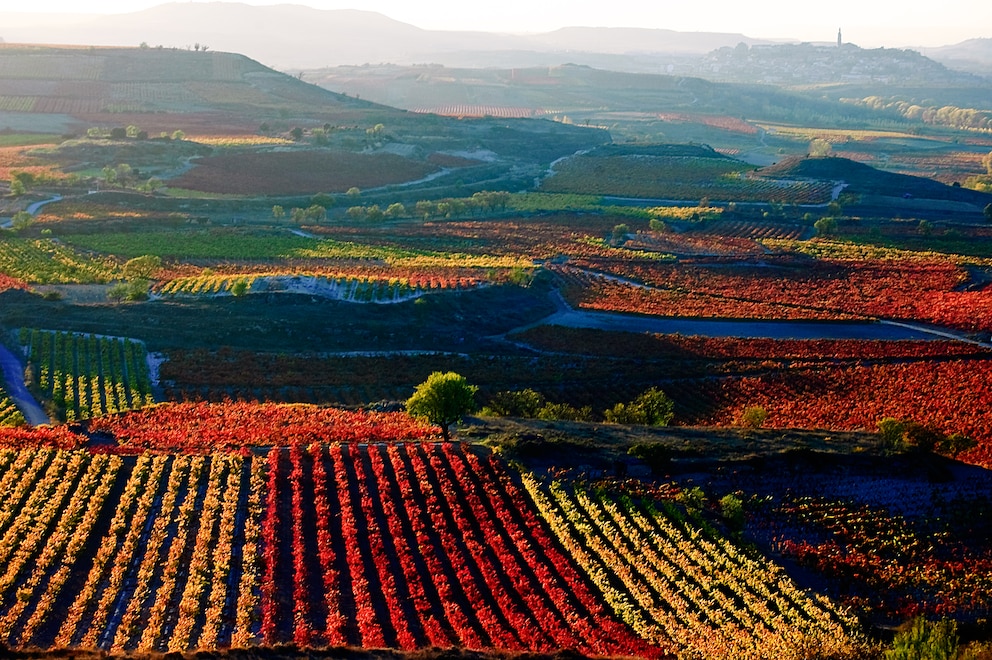 Bunte Weinanbaugebiete in La Rioja