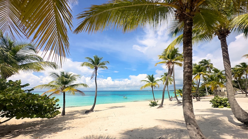 Coconut Palm Beach in Isla Catalina in der Dominikanischen Republik
