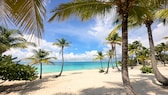 Coconut Palm Beach in Isla Catalina in der Dominikanischen Republik