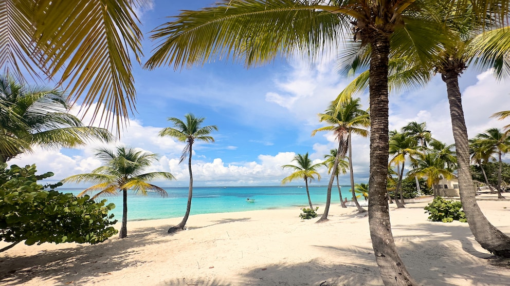 Coconut Palm Beach in Isla Catalina in der Dominikanischen Republik