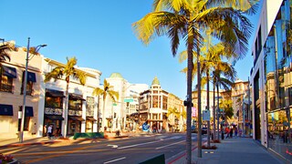 Verrückt nach Promis zu sein gilt bei uns als Laster. In Los Angeles gehört es zum täglichen Geschäft.