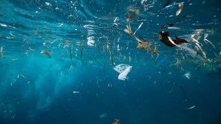 Tüten, Flaschen, Verpackungen, Spielzeug, Zahnbürsten: Plastik ist in unserem Alltag allgegenwärtig und landet irgendwann zwangsläufig im Müll.
