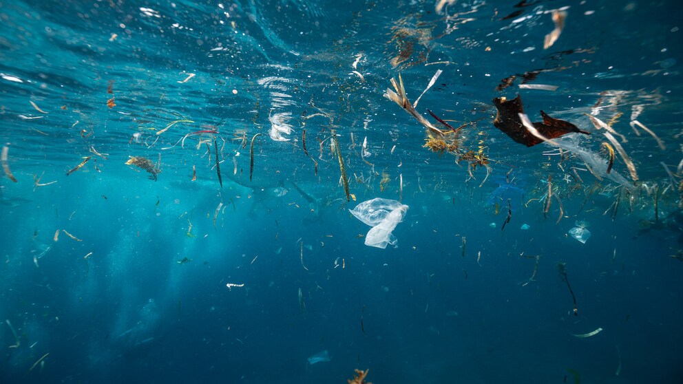 Tüten, Flaschen, Verpackungen, Spielzeug, Zahnbürsten: Plastik ist in unserem Alltag allgegenwärtig und landet irgendwann zwangsläufig im Müll.