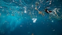 Tüten, Flaschen, Verpackungen, Spielzeug, Zahnbürsten: Plastik ist in unserem Alltag allgegenwärtig und landet irgendwann zwangsläufig im Müll.