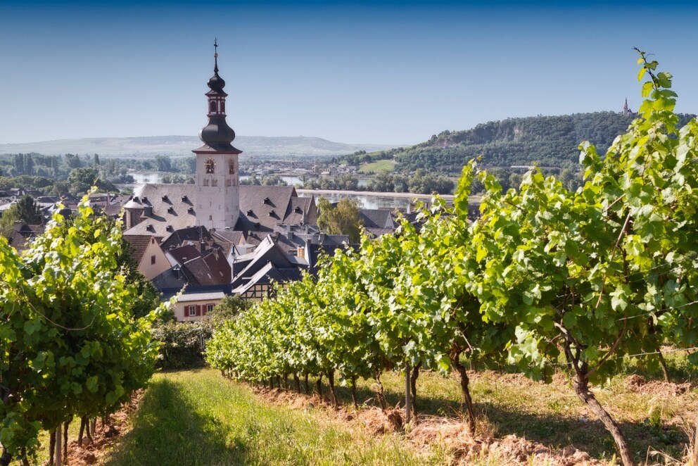 Rheingau in Hessen, Deutschland