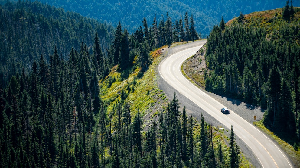 Die Freiheit der Straße, darum geht es doch bei ausgedehnten Roadtrips. Allerdings erfährt diese Freiheit hier und da ihre Einschränkungen.Die Freiheit der Straße, darum geht es doch bei ausgedehnten Roadtrips. Allerdings erfährt diese Freiheit hier und da ihre Einschränkungen.