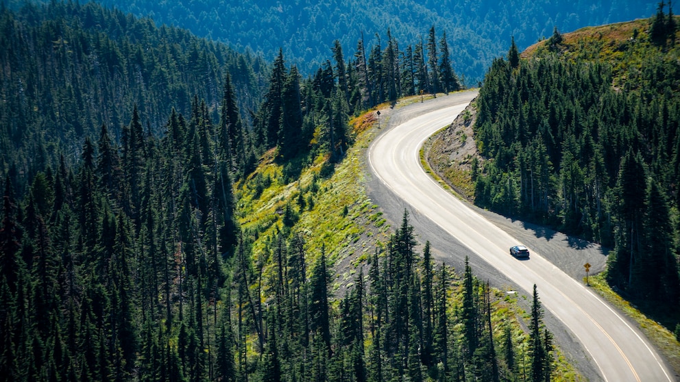 Die Freiheit der Straße, darum geht es doch bei ausgedehnten Roadtrips. Allerdings erfährt diese Freiheit hier und da ihre Einschränkungen.Die Freiheit der Straße, darum geht es doch bei ausgedehnten Roadtrips. Allerdings erfährt diese Freiheit hier und da ihre Einschränkungen.