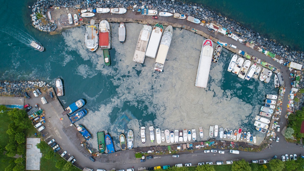 Bereits 2021 breitete sich ein riesiger Schleimteppich im Marmarameer aus – dies könnte nun wieder passieren