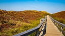 Im Herbst lockt die Insel Sylt mit den leuchtenden Farben der Natur