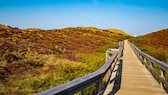 Im Herbst lockt die Insel Sylt mit den leuchtenden Farben der Natur