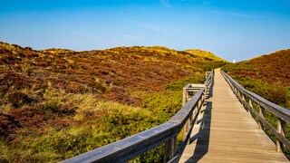 Im Herbst lockt die Insel Sylt mit den leuchtenden Farben der Natur