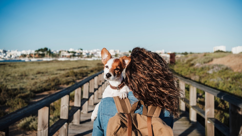 Urlaub mit Hund