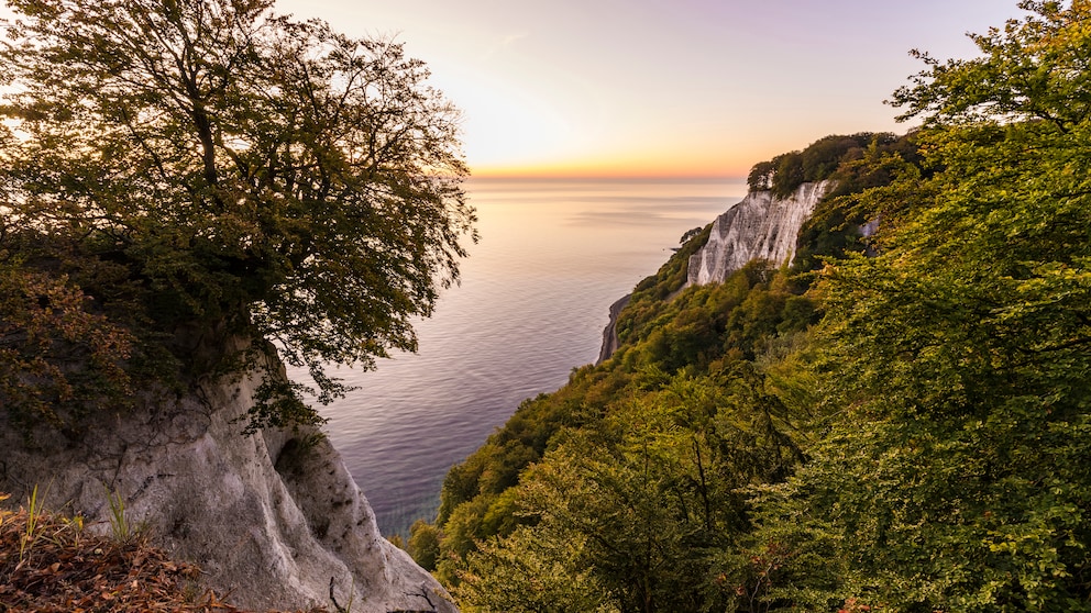 Urlaubstipps in Deutschland: Kreidefelsen auf Rügen