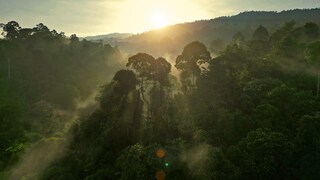 Kreischend sausen sie die Wasserrutsche hinunter, die mehr als 10 Meter hoch und richtig steil ist