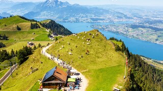 Vierwaldstättersee