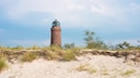 Windschiefe Bäume, knorrige Äste und ein oft menschenleerer Strand: Im Herbst und Winter hat die Halbinsel Fischland-Darss-Zingst ihren ganz eigenen Charme