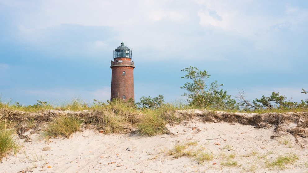 Windschiefe Bäume, knorrige Äste und ein oft menschenleerer Strand: Im Herbst und Winter hat die Halbinsel Fischland-Darss-Zingst ihren ganz eigenen Charme