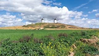 Claudia Prommegger war unterwegs auf den Spuren des Don Quijote, entlang historischer Windmühlen