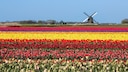 Fast 14 Millionen Touristen kommen jährlich nach Holland, davon allein 3,9 Millionen Deutsche.