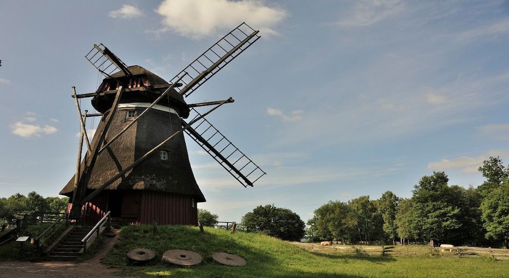 Freilichtmuseum Kommern Windmühle