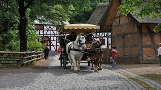 Freilichtmuseum Kommern Kutsche