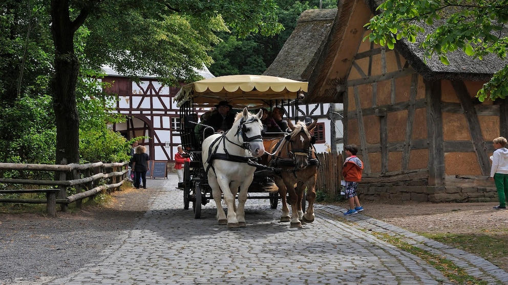 Freilichtmuseum Kommern Kutsche