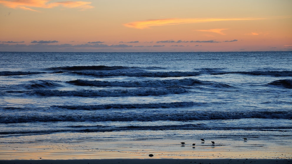 Der Strand, der statistisch gesehen die meisten Angriffe von Haien auf Menschen vorweist, liegt nicht in Australien oder in Südafrika, sondern in Florida, genauer gesagt in der Stadt New Smyrna Beach