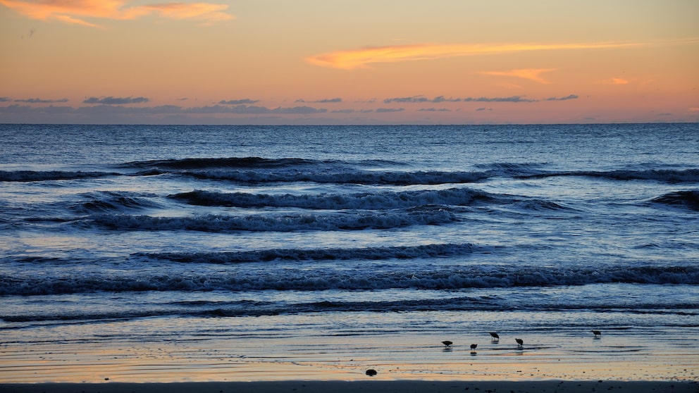 Der Strand, der statistisch gesehen die meisten Angriffe von Haien auf Menschen vorweist, liegt nicht in Australien oder in Südafrika, sondern in Florida, genauer gesagt in der Stadt New Smyrna Beach