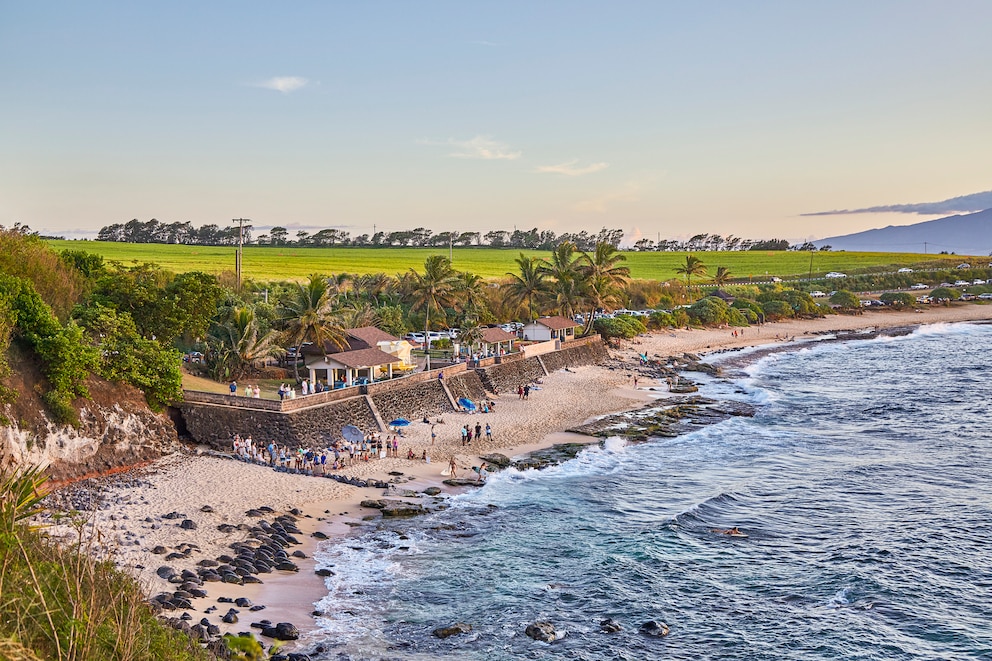 Paia aus der hawaiianischen Insel Maui