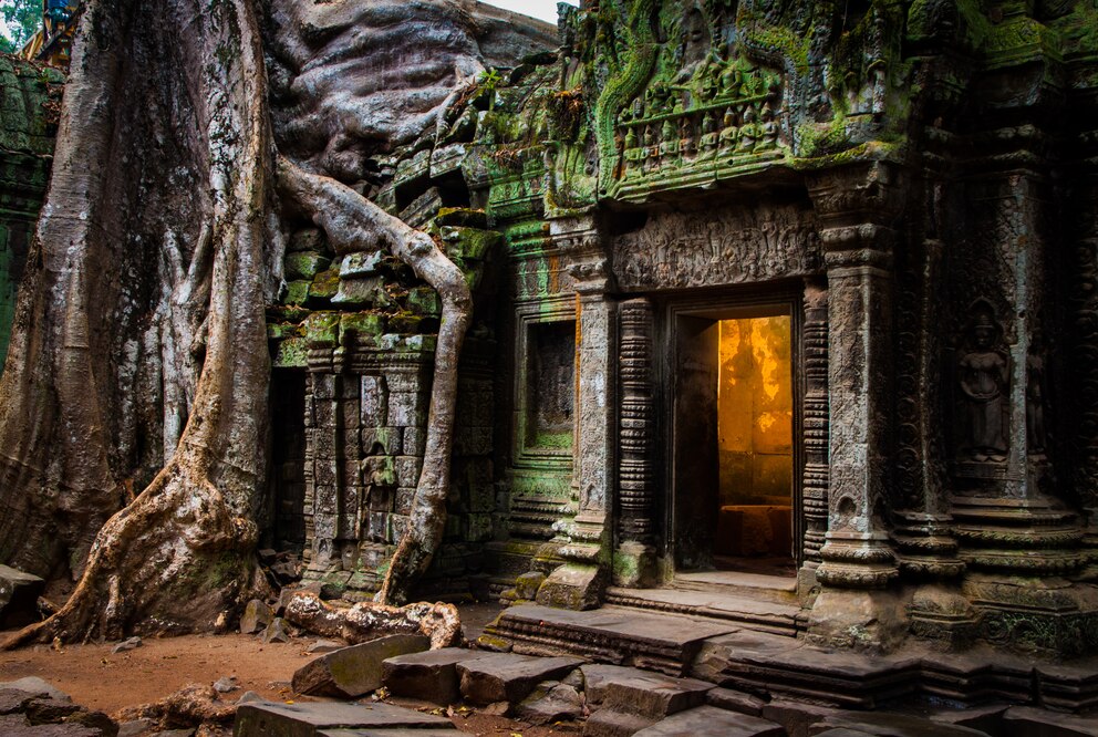 Ta Prohm Tempel auf Angkor Wat, Kambodscha