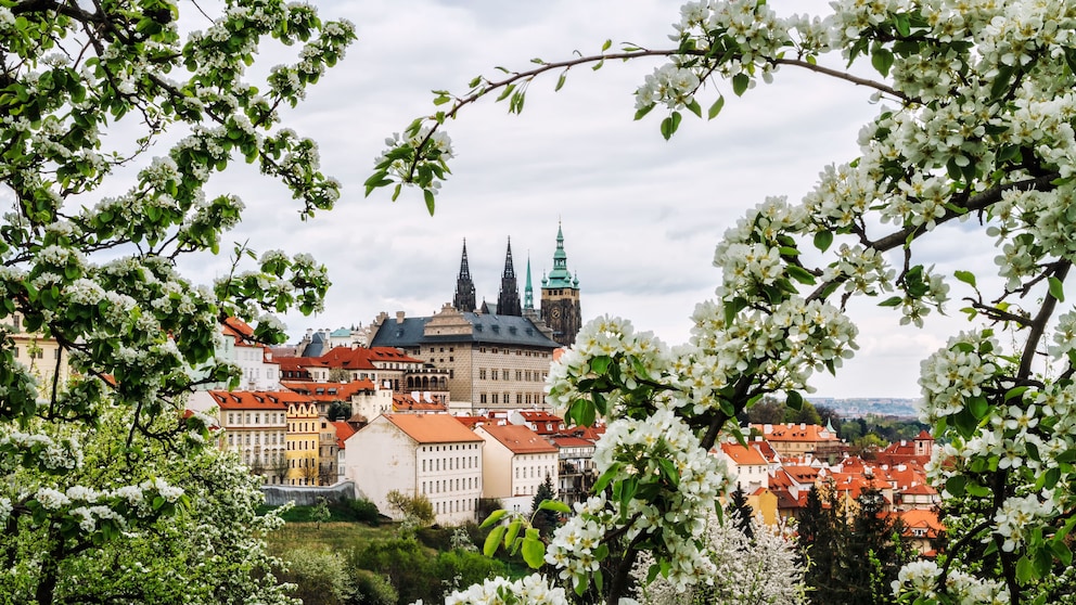 Tschechiens Hauptstadt Prag