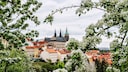 Tschechiens Hauptstadt Prag