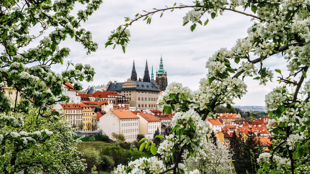 Tschechiens Hauptstadt Prag