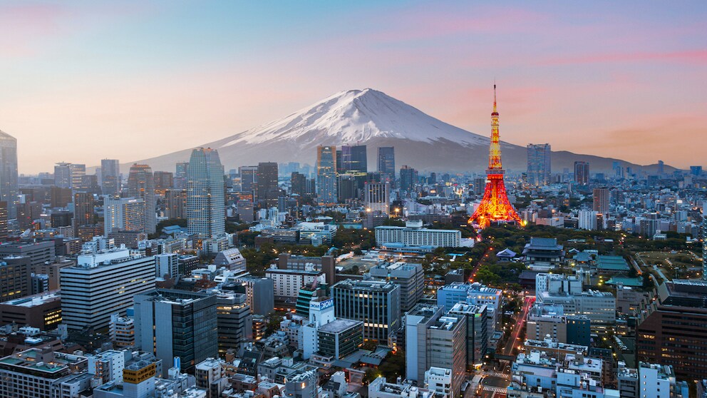 Japan plant, eine Onlineregistrierung für alle verpflichtend zu machen – auch für Reisende, die kein Visum benötigen