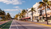 Miami hat in seinem Hundeleben schon einige schöne Orte besucht: New York, Utah, San Francisco, die Italienische Adria, Rom und natürlich: Miami Beach