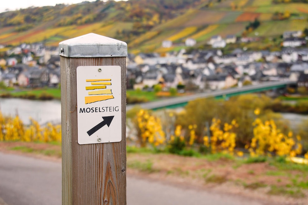 Fünf übereinander gestapelte Schieferplatten bilden das Logo, das dem Wanderer auf dem Moselsteig den Weg weist