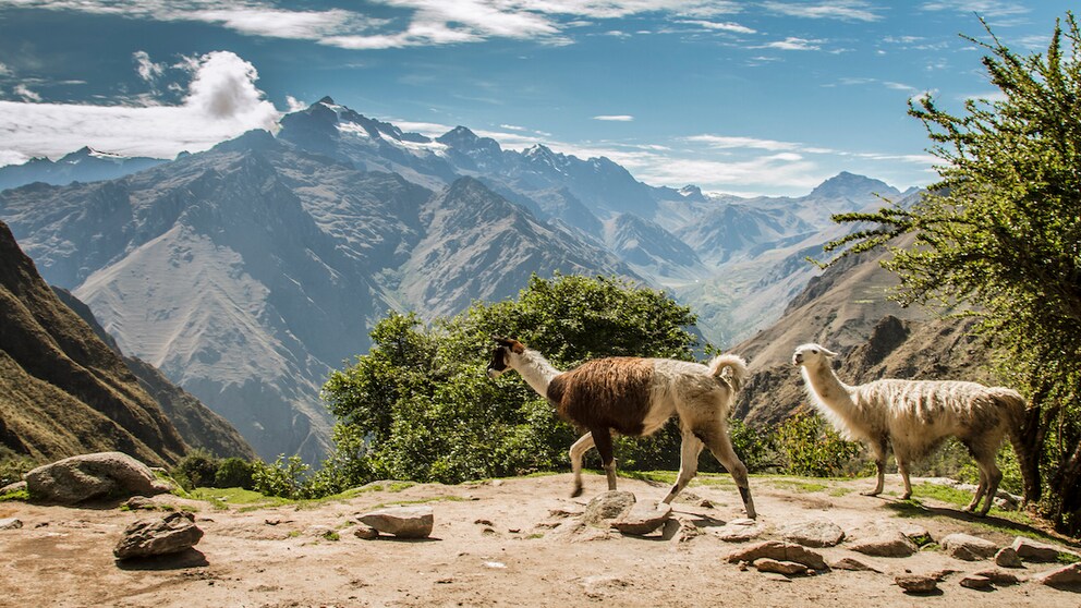 Peru ist einfach atemberaubend! Nicht nur wegen der dünnen Andenluft, sondern auch wegen seiner Sehenswürdigkeiten der Superlative