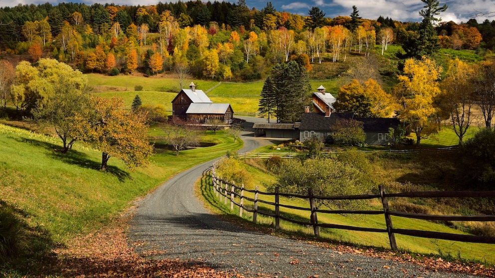 Die Sleepy-Hollow-Farm in Pomfret im US-Bundesstaat Vermont avancierte in den letzten Jahren zum Influencer-Hotspot