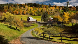 Die Sleepy-Hollow-Farm in Pomfret im US-Bundesstaat Vermont avancierte in den letzten Jahren zum Influencer-Hotspot