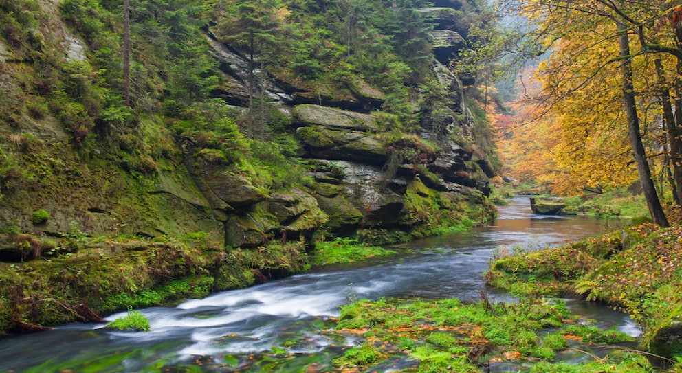 Die Gegend um das Städtchen Kamenice strahlt im Oktober in allen Farben