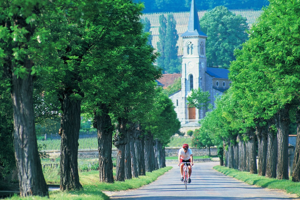 Das Burgund ist perfekt für Radbegeisterte