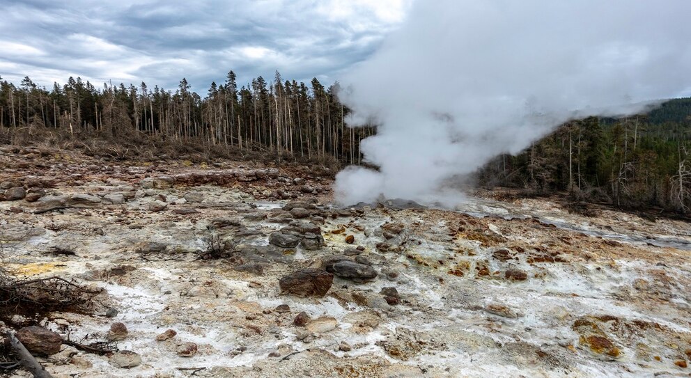 Steamboat Geysir